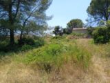 Terrain à bâtir à Juvignac (34990) 2211406-11040annonce120250702fhNKX.jpeg Maisons France Confort