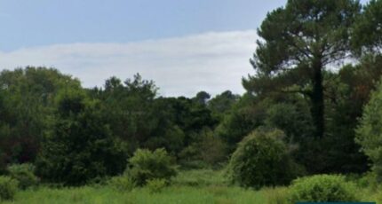 Messanges Terrain à bâtir - 2211255-5828annonce120250617RAkyu.jpeg Maisons France Confort