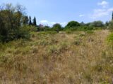 Maison à construire à Juvignac (34990) 2211427-11040annonce120250702Nnpsp.jpeg Maisons France Confort