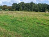 Terrain à bâtir à Wirwignes (62240) 2211106-11072annonce120250702RRq5A.jpeg Maisons France Confort