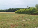 Terrain à bâtir à Médis (17600) 2211745-3362annonce220250702xXz3K.jpeg Maisons France Confort