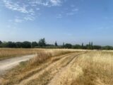 Maison à construire à Pertuis (84120) 2210821-7289annonce220250701HaMiW.jpeg Maisons France Confort
