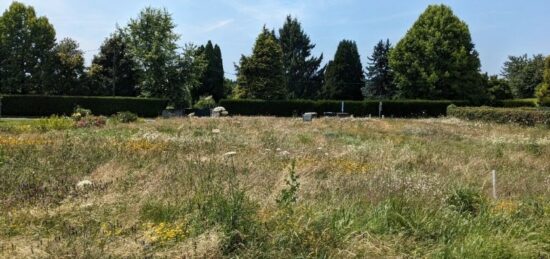 Terrain à bâtir à Naves, Nouvelle-Aquitaine