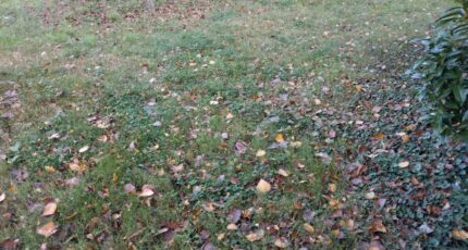 Penchard Maison neuve - 2212068-10730annonce320250702dUvnO.jpeg Maisons France Confort