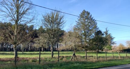 Uzeste Maison neuve - 2212544-11251annonce120250703r9Z2A.jpeg Maisons France Confort