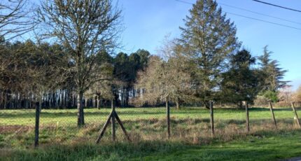 Uzeste Terrain à bâtir - 2212474-11251annonce220250703tvLLf.jpeg Maisons France Confort