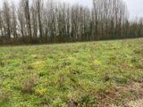 Terrain à bâtir à Montpellier-de-Médillan (17260) 2212622-11194annonce220250703O5pXC.jpeg Maisons France Confort