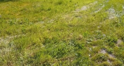 Andernos-les-Bains Maison neuve - 2212617-11244annonce120250703Bo128.jpeg Maisons France Confort