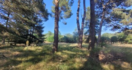 Allan Maison neuve - 2212898-812annonce120250703miLTt.jpeg Maisons France Confort