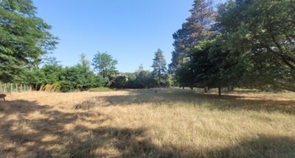 Allan Maison neuve - 2212898-812annonce320250703QkwK1.jpeg Maisons France Confort