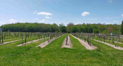 Cognac Maison neuve - 2213041-11268annonce120250703rBvcS.jpeg Maisons France Confort