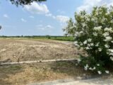Maison à construire à Villesèquelande (11170) 2213090-11456annonce120250624F65yg.jpeg Maisons France Confort