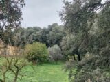 Maison à construire à Plan-d’Orgon (13750) 2213152-7289annonce120250703HBVwc.jpeg Maisons France Confort