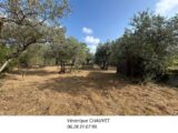 Terrain à bâtir à Flayosc (83780) 2213134-4529annonce120250703DTlne.jpeg Maisons France Confort