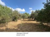 Terrain à bâtir à Flayosc (83780) 2213134-4529annonce220250703T1Dyf.jpeg Maisons France Confort