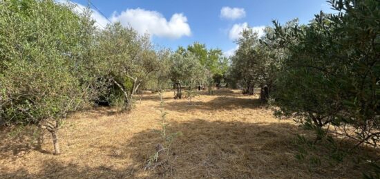Terrain à bâtir à , Var
