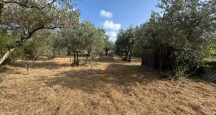 Flayosc Maison neuve - 2213172-4529annonce120250703DTlne.jpeg Maisons France Confort