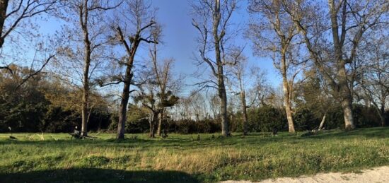Terrain à bâtir à Bouliac, Nouvelle-Aquitaine