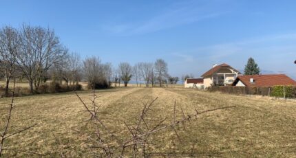 Chanay Maison neuve - 2213552-10456annonce220250704t21NX.jpeg Maisons France Confort