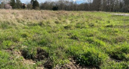 Fontcouverte Terrain à bâtir - 2213713-11194annonce220250704CeTDE.jpeg Maisons France Confort