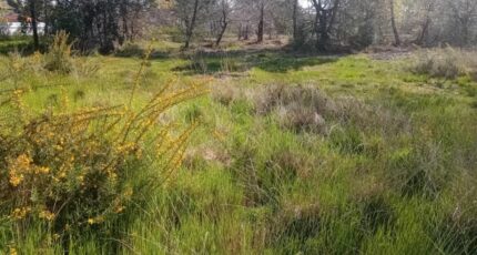 Le Teich Terrain à bâtir - 2213720-11244annonce220250704lMZuC.jpeg Maisons France Confort