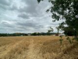 Terrain à bâtir à Villenouvelle (31290) 2212824-11450annonce120250703aWzBB.jpeg Maisons France Confort