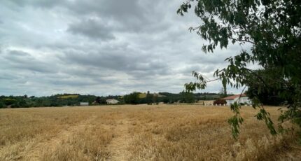 Villenouvelle Terrain à bâtir - 2212824-11450annonce120250703aWzBB.jpeg Maisons France Confort