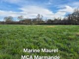Terrain à bâtir à Moustier (47800) 2214255-11161annonce120250512XSHvs.jpeg Maisons France Confort