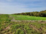 Terrain à bâtir à Thugny-Trugny (08300) 2173112-10076annonce120250528uVSLD.jpeg Maisons France Confort