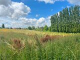 Terrain à bâtir à Agny (62217) 2213698-10222annonce220250704Peva4.jpeg Maisons France Confort