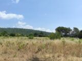 Maison à construire à Garéoult (83136) 2214904-10744annonce1202507046Ws9T.jpeg Maisons France Confort