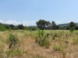 Terrain à bâtir à Garéoult (83136) 2214930-10744annonce220250704KTOsC.jpeg Maisons France Confort