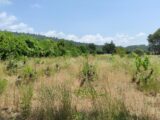 Maison à construire à Garéoult (83136) 2214995-10744annonce320250704pdBut.jpeg Maisons France Confort