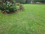 Maison à construire à Saint-Laurent-de-Brèvedent (76700) 2215113-11180annonce120250704wRL6t.jpeg Maisons France Confort