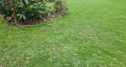 Saint-Laurent-de-Brèvedent Maison neuve - 2215130-11180annonce120250704wRL6t.jpeg Maisons France Confort