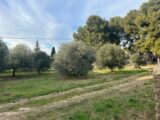 Maison à construire à Saint-Chamas (13250) 2214209-7289annonce120250704652uA.jpeg Maisons France Confort
