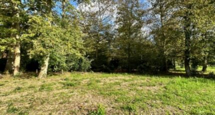 Montcourt-Fromonville Terrain à bâtir - 2214296-11229annonce120250311zuFVD.jpeg Maisons France Confort