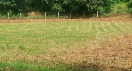 Faÿ-lès-Nemours Terrain à bâtir - 2214396-11229annonce120250311Uiyfx.jpeg Maisons France Confort