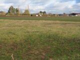 Maison à construire à Souppes-sur-Loing (77460) 2214379-11229annonce12025031161KyC.jpeg Maisons France Confort