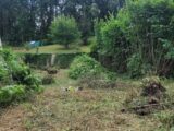 Maison à construire à Souppes-sur-Loing (77460) 2214391-11229annonce1202503116RDiF.jpeg Maisons France Confort