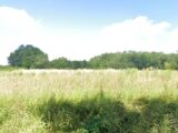 Terrain à bâtir à Monestier (24240) 2215728-7107annonce120250705hhcsc.jpeg Maisons France Confort