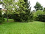 Maison neuve à Châtillon (92320) 2147680-3175annonce120250502JoqDe.jpeg Maisons France Confort