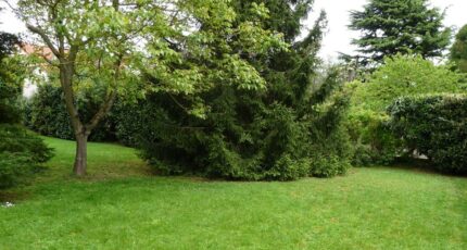 Châtillon Maison neuve - 2147680-3175annonce120250502JoqDe.jpeg Maisons France Confort