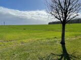 Maison à construire à Aviron (27930) 2216040-11218annonce120250706GXbNP.jpeg Maisons France Confort