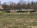 Maison à construire à Ménilles (27120) 2216078-11218annonce120250706s24ri.jpeg Maisons France Confort
