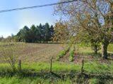 Terrain à bâtir à Fonroque (24500) 2215689-7107annonce120250705Xf3wO.jpeg Maisons France Confort