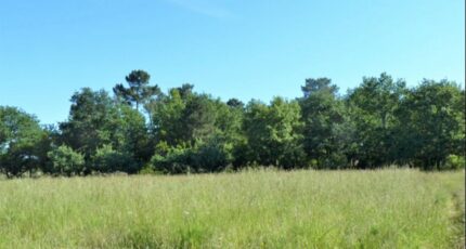 Landiras Terrain à bâtir - 2214473-5612annonce120250704izX0h.jpeg Maisons France Confort