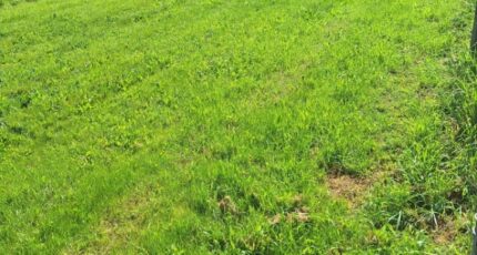 Tournefeuille Terrain à bâtir - 2214813-3575annonce120250704Z4KJf.jpeg Maisons France Confort
