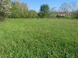 Terrain à bâtir à Les Abrets (38490) 2149745-11355annonce320250506Tr9ws.jpeg Maisons France Confort