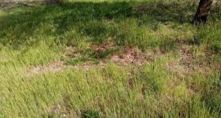 Mios Terrain à bâtir - 2216526-11244annonce220250707wXn4M.jpeg Maisons France Confort